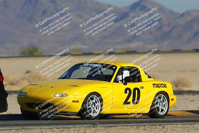 media/Nov-23-2024-Nasa (Sat) [[59fad93144]]/HPDE 1-2/Session 3 Turn 4 Tree of Life/